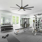 65-Inch BlackGold Industrial Ceiling Fan with Light and Remote, 8 ABS Blades, Quiet Reversible DC Motor, 6-Speed, Timer Function, 3 Color LED Light Chandelier